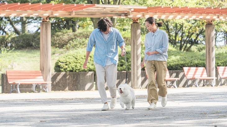 犬のしつけ教室は意味ない？行くべき？